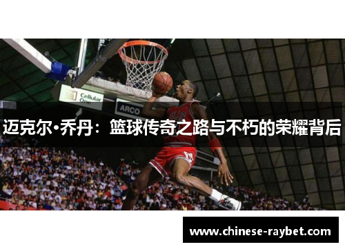 迈克尔·乔丹：篮球传奇之路与不朽的荣耀背后