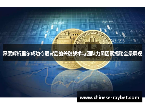 深度解析里尔成功夺冠背后的关键战术与团队力量因素揭秘全景展现