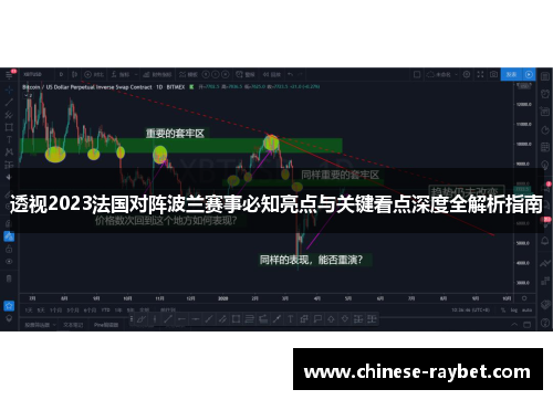 透视2023法国对阵波兰赛事必知亮点与关键看点深度全解析指南