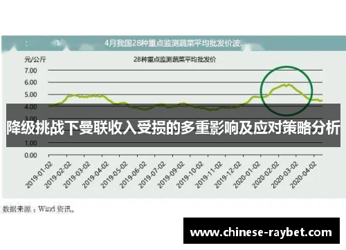 降级挑战下曼联收入受损的多重影响及应对策略分析 降级挑战下曼联收入受损的多重影响及应对策略分析