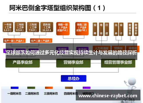 足球部落如何通过多元化经营实现持续生计与发展的路径探析