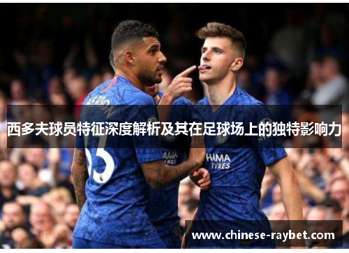 西多夫球员特征深度解析及其在足球场上的独特影响力