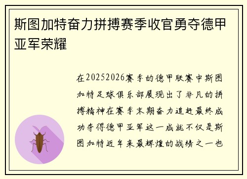 斯图加特奋力拼搏赛季收官勇夺德甲亚军荣耀